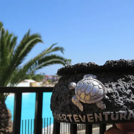 Lejlighed Casa Mona Corralejo