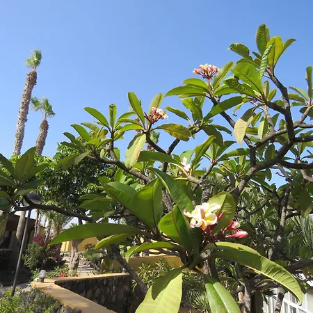 Casa Mona * Corralejo